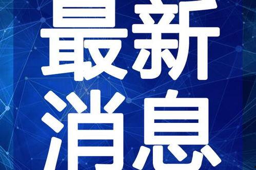 宜阳新闻爆料最新消息视频,视频揭示惊人真相！